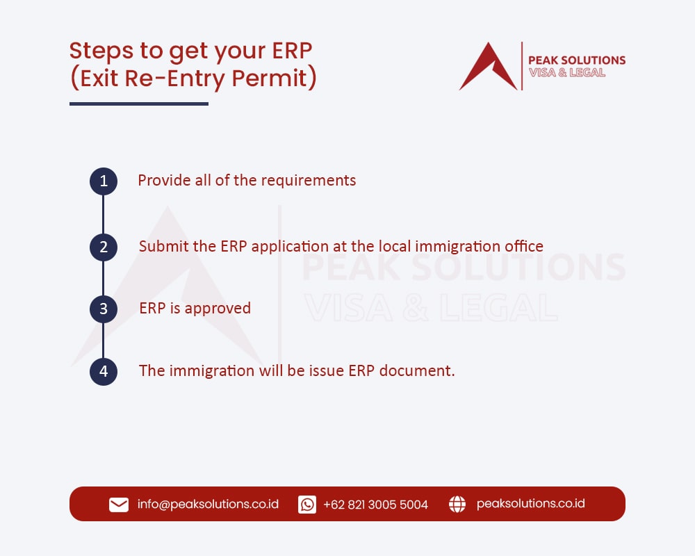 Immigration Consultation - ERP